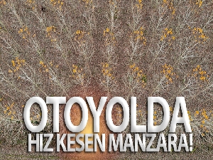 Şehidin amcası: 'Allah bütün şehitlerimizin mekânını cennet eylesin'