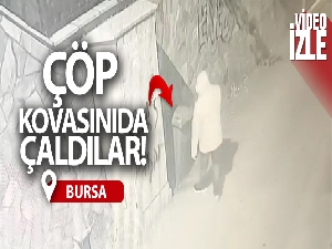 Direğe zincirle bağlı olan çöp kovasını çaldı