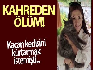 Genç doktorun kahreden ölümü: Kedisini kurtarmaya çalışırken düşüp öldü