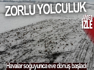 Kars'ta göçerlerin kar üzerinde zorlu yolculuğu