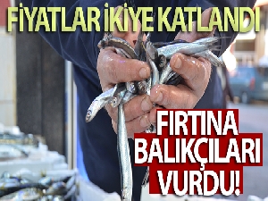Fırtına balıkçıları vurdu, fiyatlar ikiye katlandı: Hamsi 35 lira