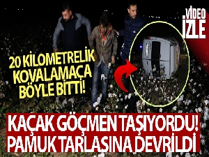 Kaçak göçmen taşıyan minibüs polisten kaçarken pamuk tarlasına devrildi
