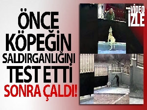 Önce köpeğin saldırganlığını test etti, sonra çaldı