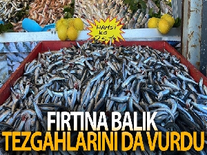 Fırtına balık tezgahlarını da vurdu
