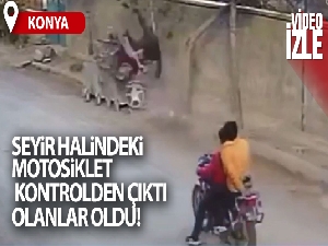 Çöp konteynerine çarpıp takla attı, çöpteki kedi fırladı