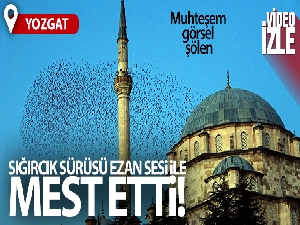 Sığırcık sürüsü ezan sesi ile mest etti