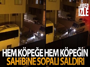 Pendik'te hem köpeğe hem köpeğin sahibine sopalı saldırı