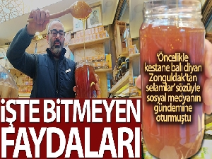 Kestane balı KOAH hastalığına birebir