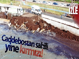 Caddebostan Sahili yeniden kırmızı yosunlarla kaplandı