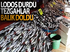 Lodos durdu tezgahlar balık doldu