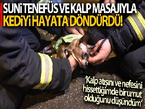 Suni teneffüs ve kalp masajıyla kediyi hayata döndürdü
