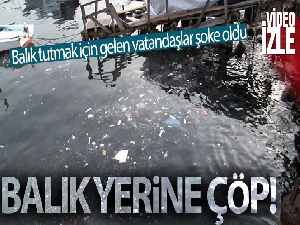 Sarıyer Sahili'ne balık tutmak için gelen vatandaşlar şoke oldu