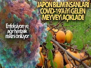 Japon bilim insanları Covid-19'a iyi gelen meyveyi açıkladı