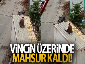 Kartal'da vincin kaldırdığı konteyner üzerinde işçi mahsur kaldı
