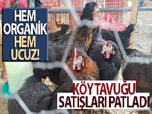 Köy tavuğu satışları patladı