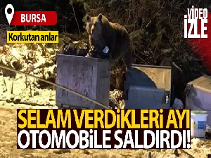 Selam verdikleri ayı otomobile saldırdı, o anlar kameraya yansıdı