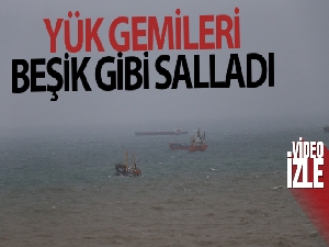 Karadeniz yük gemilerini beşik gibi salladı