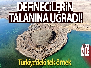 Türkiye'deki tek örneği, defineciler talan etti