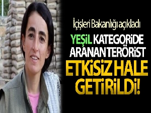 Yeşil kategoride aranan terörist Mardin'de etkisiz hale getirildi