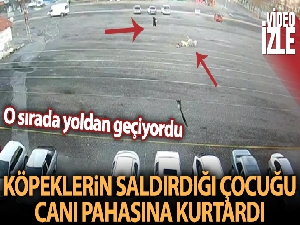 Köpeklerin saldırdığı çocuğu canı pahasına kurtardı