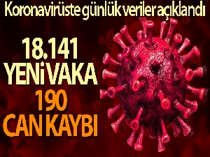 Son 24 saatte 18 bin 141 vaka, 190 can kaybı