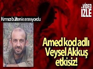 Kırmızı bültenle aranan terörist Siirt'te etkisiz hale getirildi