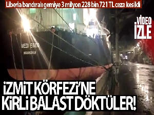Liberia bandıralı gemiye 3 milyon 228 bin 721 TL ceza