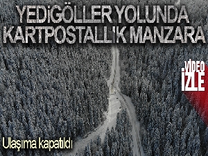 Yedigöller Milli Parkı yolu ulaşıma kapatıldı