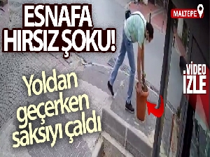 Maltepe'de esnafa hırsız şoku: Yoldan geçerken saksıyı çaldı