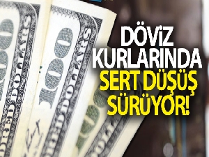 Dolar ne kadar oldu? Döviz kurlarında son durum!