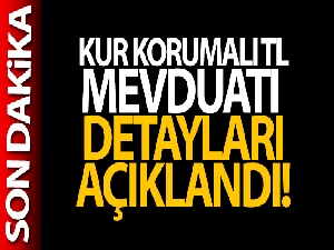 Dövize endeksli TL mevduat düzenlemesinin ayrıntıları açıklandı