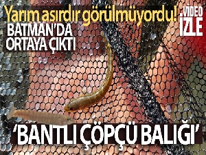Yarım asırdır görülmeyen balık türü Batman'da görüldü
