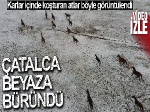 Karlar içinde koşturan atlar havadan görüntülendi