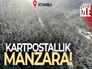 Beyaza bürünen orman havadan görüntülendi