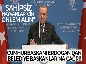 Cumhurbaşkanı Erdoğan'dan belediye başkanlarına çağrı: Sahipsiz hayvanlar için önlem alın