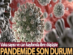 Son 24 saatte korona virüsten 168 kişi hayatını kaybetti