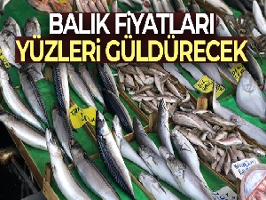 Kar yağdı, balık fiyatlarının düşmesi bekleniyor