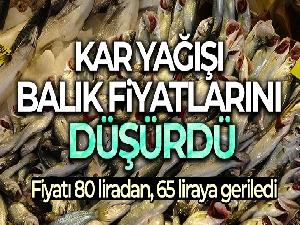 Kar yağdı, fiyatı 65 liraya geriledi
