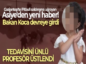 Gaziantep'te Pitbull saldırısına uğrayan Asiye'den yeni haber!