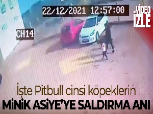 Pitbull cinsi köpeklerin minik Asiye'ye saldırı anı kamerada