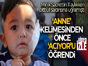 11 aylıkken pitbull saldırısına uğrayan minik Sadrettin, anne kelimesinden önce ‘acıyor'u öğrendi
