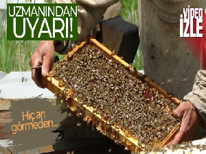 Uzmanı uyardı: 'Piyasada hiç arı görmeden üretilen sahte ballar var'