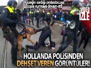 Hollanda'da polisten protestoculara “köpekli” müdahale
