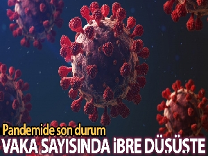 Son 24 saatte korona virüsten 129 kişi hayatını kaybetti
