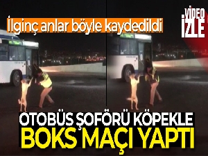 Ankara'da otobüs şoförünün köpekle yaşadığı eğlenceli anlar kamerada