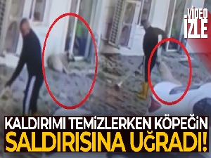 Kaldırımı temizlerken köpeğin saldırısına uğradı