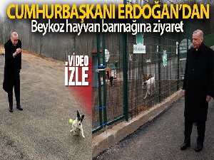 Cumhurbaşkanı Erdoğan, Beykoz hayvan barınağını ziyaret etti