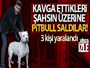 Kavga ettikleri şahsın üzerine pitbull saldılar: 3 yaralı