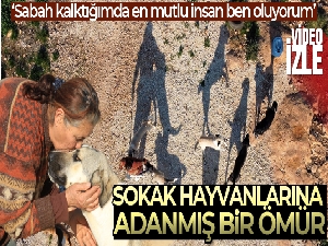 80 hayvana anne oldu, 53 köpek ile 27 kediyi sokaktan kurtardı