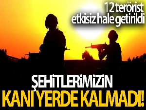 Akçakale hudut hattında 12 terörist etkisiz hale getirildi